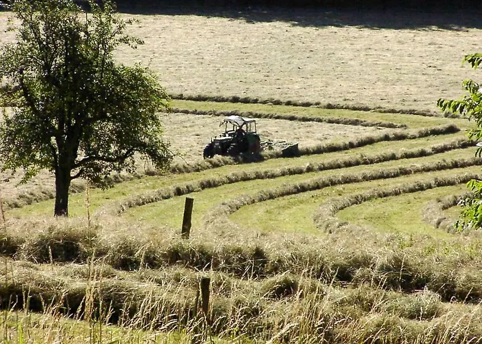 Inn Morgentau Ober-Hambach