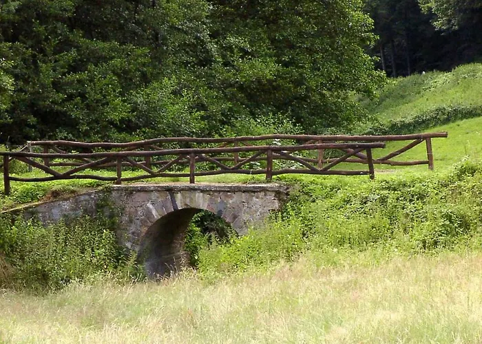 Morgentau * Ober-Hambach