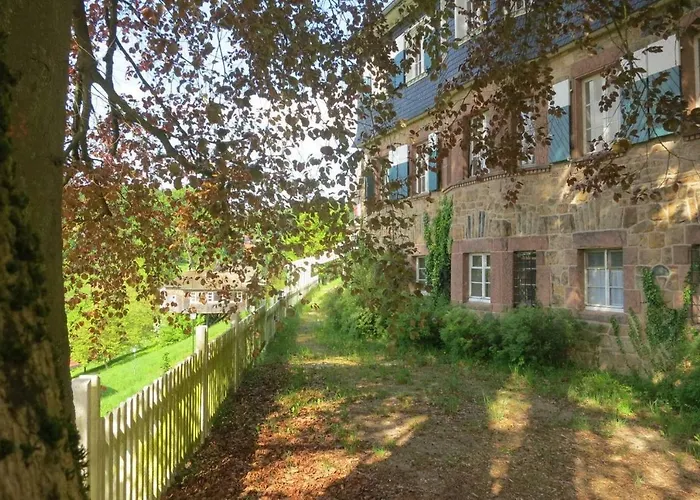 Morgentau Ober-Hambach